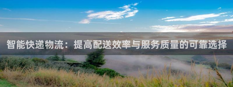 多多28官网平台：智能快递物流：提高