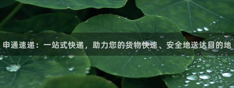 多多28app官网少林足球：申通速递