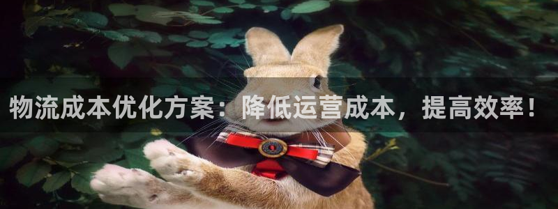 多多28注册教程：物流成本优化方案：