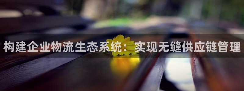 多多28注册登录链接：构建企业物流生态系统：实现无缝供应链管