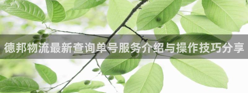 多多28模拟：德邦物流最新查询单号服