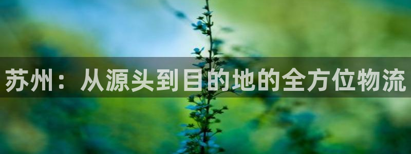 多多28加拿大28：苏州：从源头到目