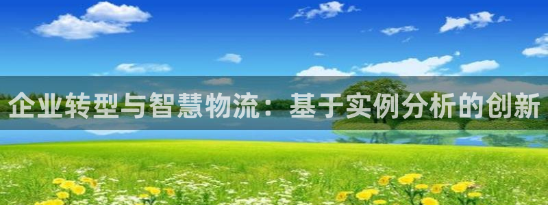多多28连输10天：企业转型与智慧物
