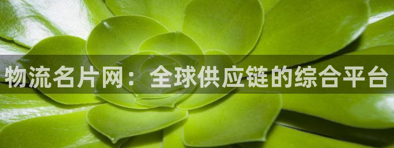 多多28PG电子游戏：物流名片网：全