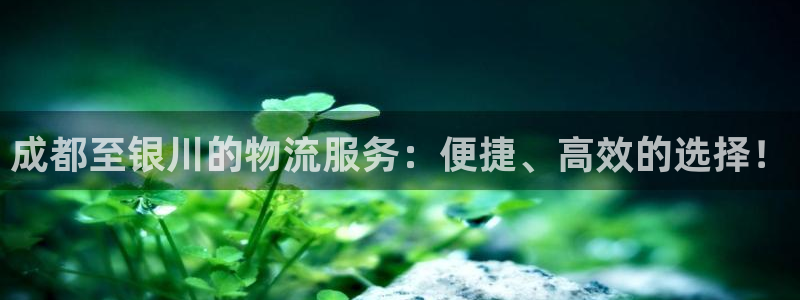 多多28如何注销账号：成都至银川的物