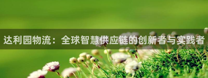 多多28官网下载谁有：达利园物流：全球智慧供应链的创新者与实