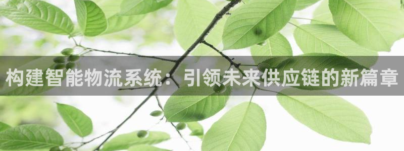 多多28犯法吗：构建智能物流系统：引