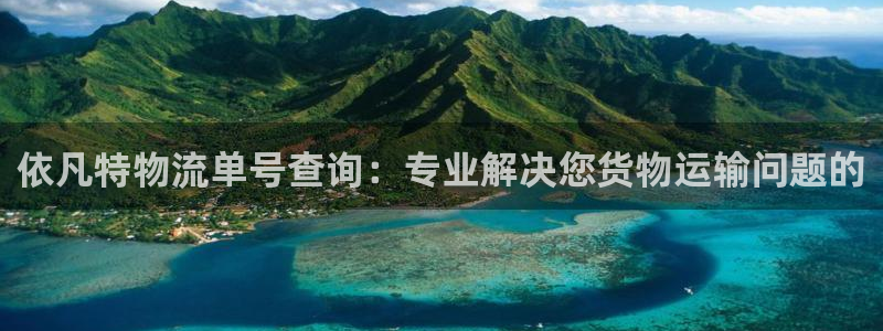 多多28怎么注册下载：依凡特物流单号
