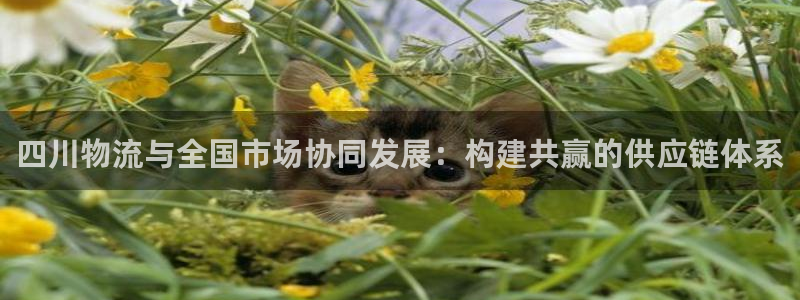 多多28能提现吗：四川物流与全国市场