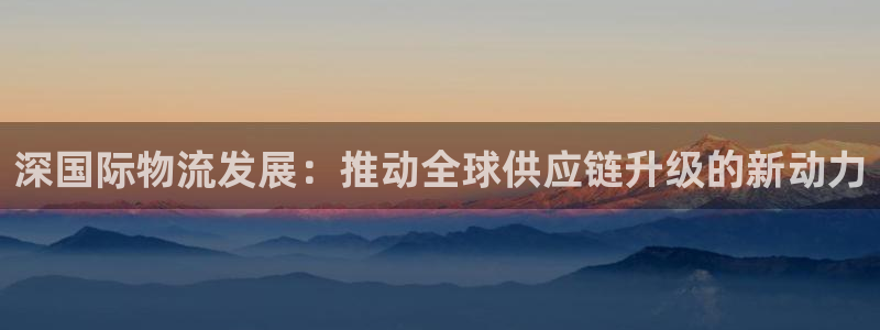 多多28注册网址：深国际物流发展：推