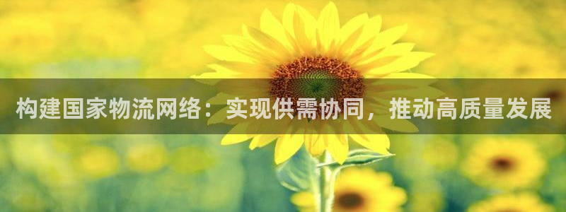 多多28口戒指是多大：构建国家物流网