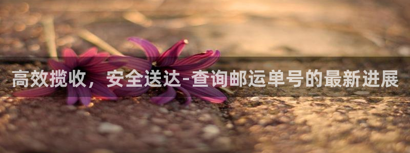 多多28最稳打法