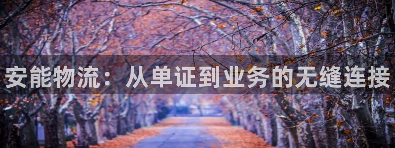 多多28官网下载：安能物流：从单证到