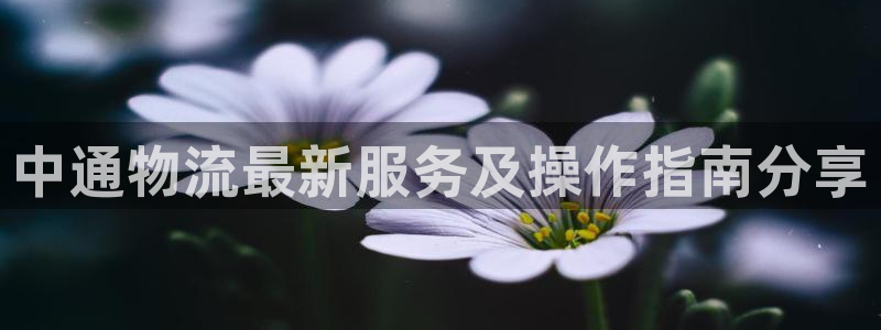 多多28软件堵什么反什么
