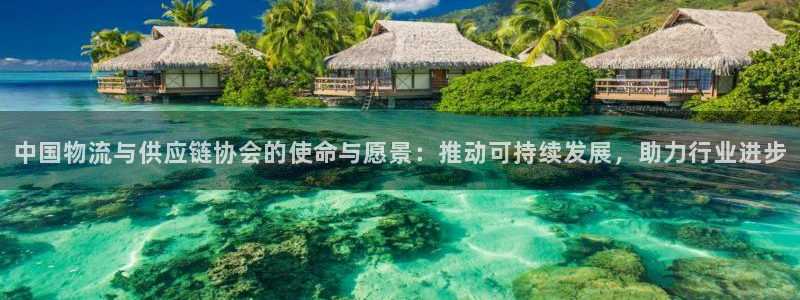 多多28充值方式：中国物流与供应链协会的使命与愿景：推动可持