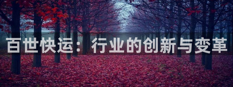 多多28官网平台：百世快运：行业的创