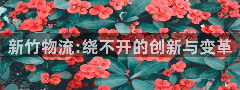 多多28官网入口pc正版：新竹物流:绕不开的创新与变革