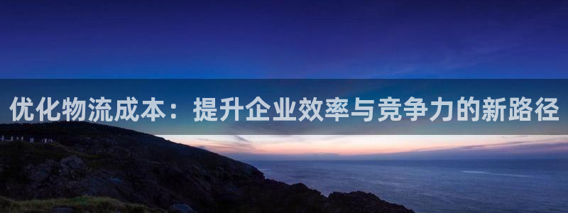 多多28退款教程：优化物流成本：提升