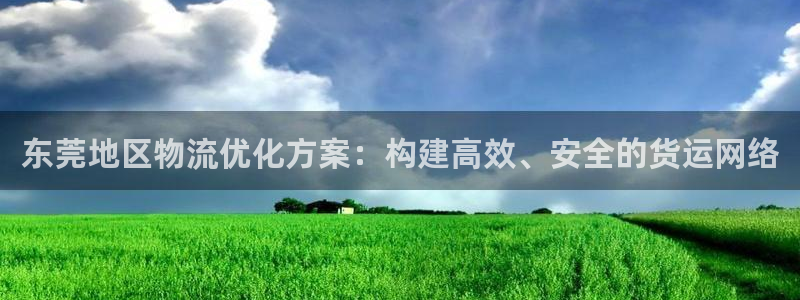 多多28官网版2024：东莞地区物流