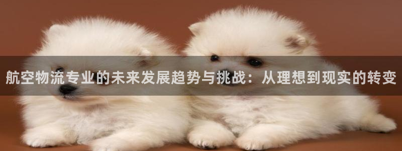 多多28体育下载：航空物流专业的未来发展趋势与挑战：从理想到